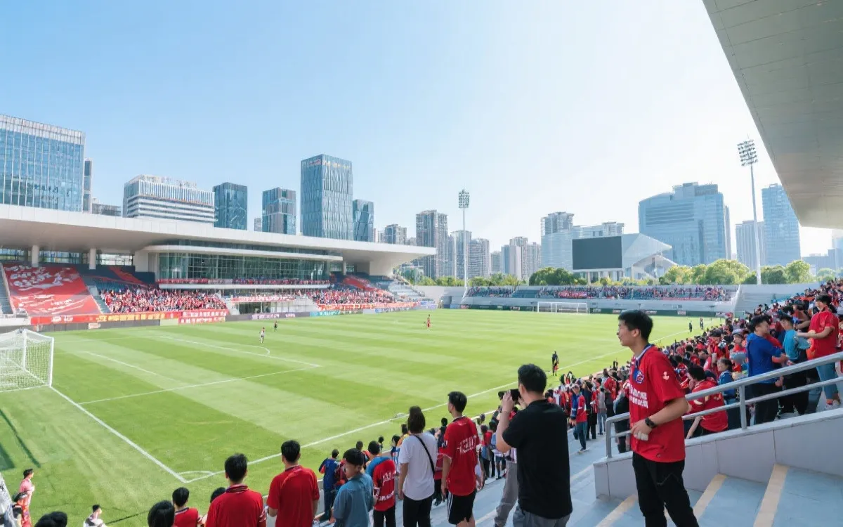 白天阳光下的城市足球场，远处可见海岸线与城市建筑